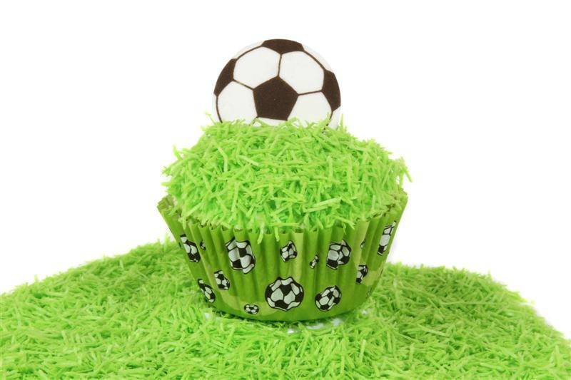 Edible grass 30g